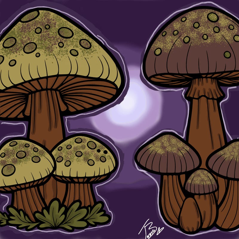 mushrooms