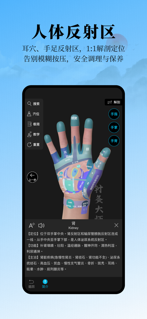 Tableau de réflexologie de la main en 3D dans l'application Acupuncture Master montrant des zones anatomiques et des détails de points rénaux.