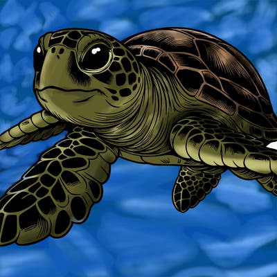 realistic sea turtle