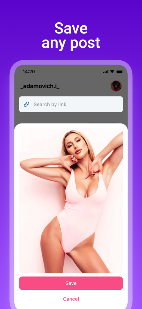 Interfaccia dell'app Instory che mostra l'opzione per salvare un post sui social media utilizzando un link