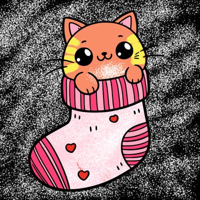 cute cat in a sock