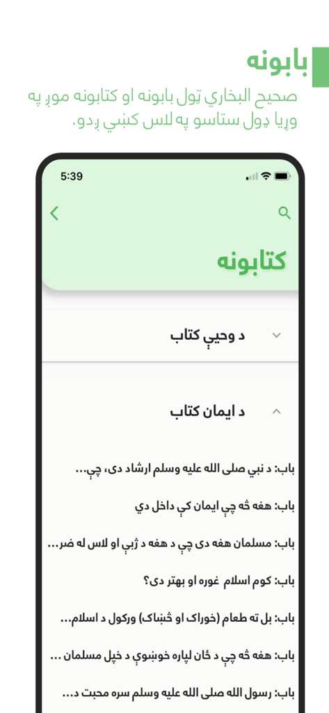 Pashto Sahih Bukhari - Pashto Sahih Bukhari app interface showing the list of books and chapters