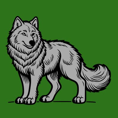 wolf