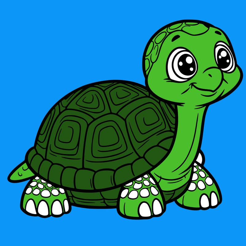 tortoise