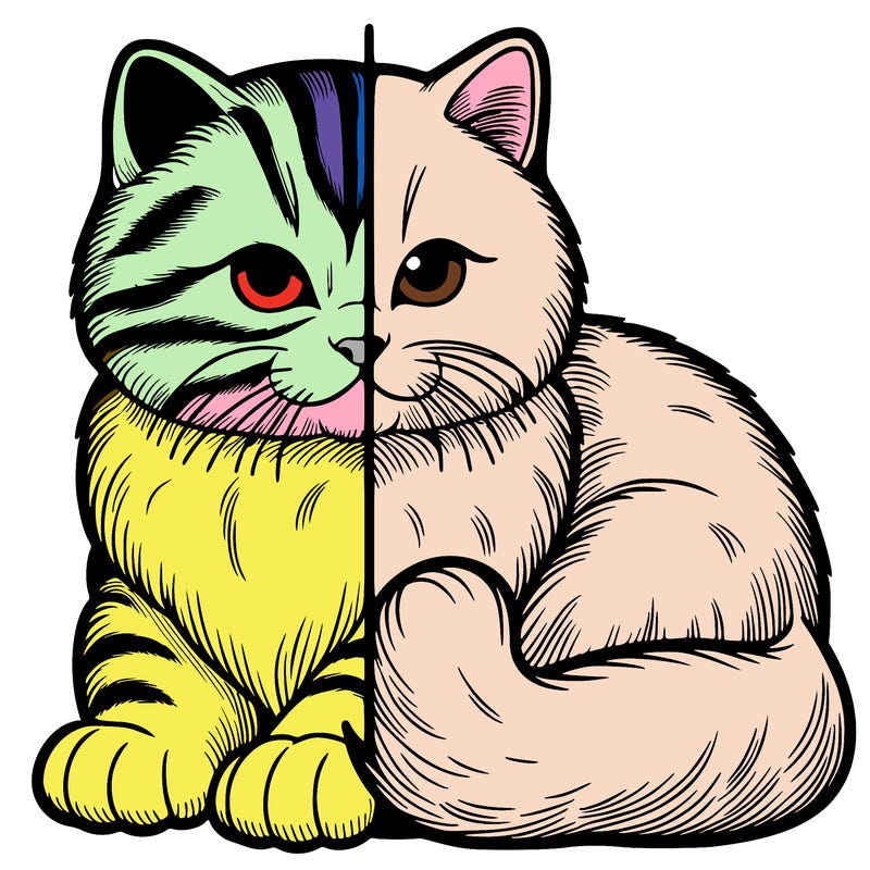 realistic split cat