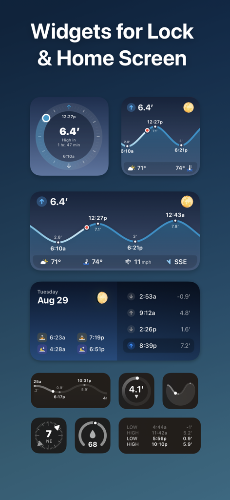 A variety of tide and marine weather widgets for the iPhone Home and Lock Screen