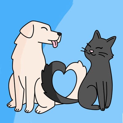 animals_22