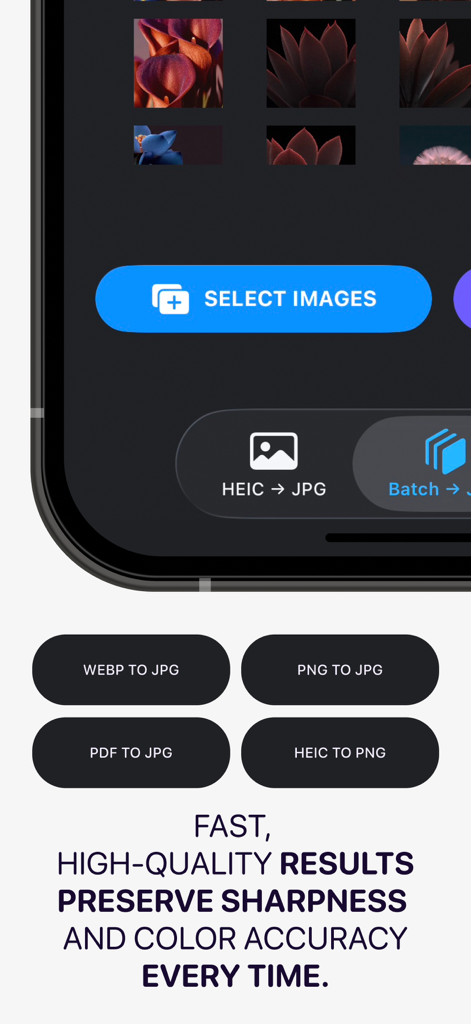 JPG Converter app interface showing various image conversion options like HEIC, PDF, and PNG to JPG