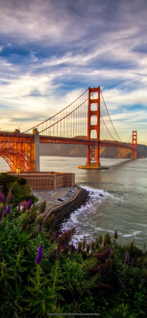 Kappboom - Cool Wallpapers - High resolution vertical wallpaper of the Golden Gate Bridge at sunset with purple flowers in the foreground