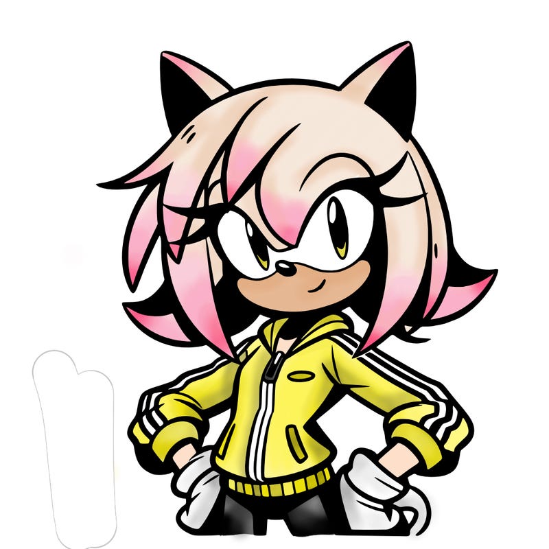 female sonic character with sports jacket, and bangs