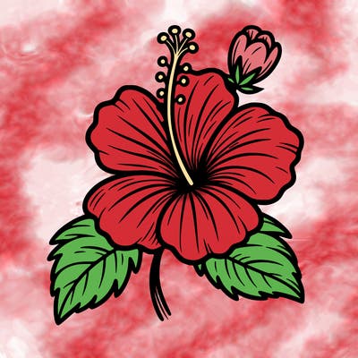 hibiscus flower