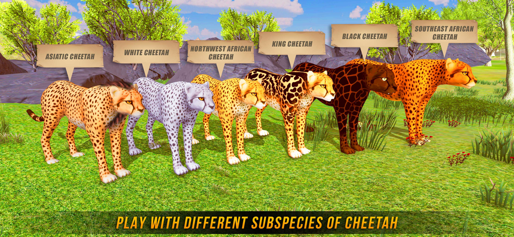 Wild Cheetah Simulator 3D - Eine Reihe von sechs verschiedenen Geparden-Unterarten in einer 3D-Safari-Umgebung, einschließlich asiatischer und Königsgepard.