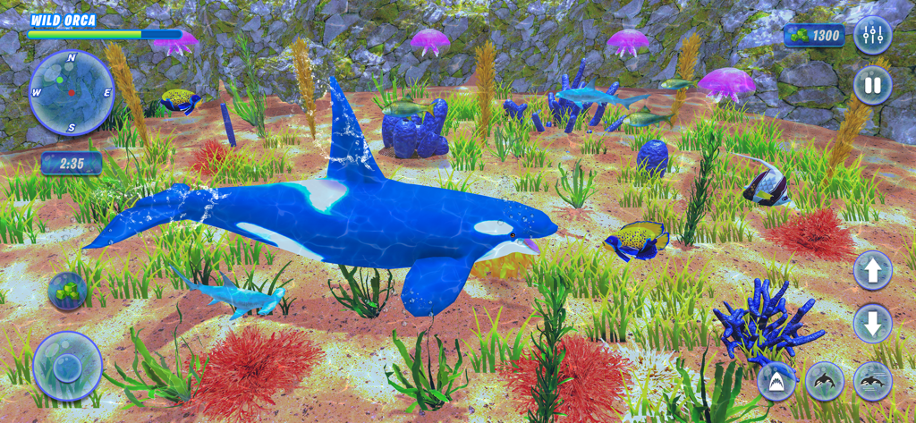 Orca Killer Whale Simulator - A 3D orca swimming through a vibrant coral reef in the Orca Killer Whale Simulator game
