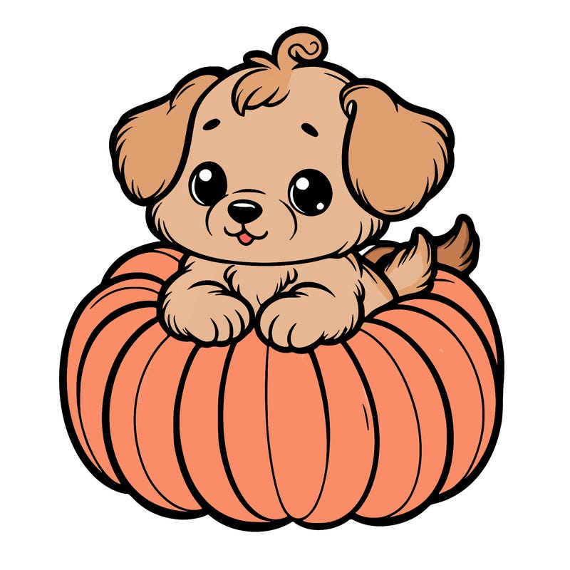 cute little puppy in a pumpkin