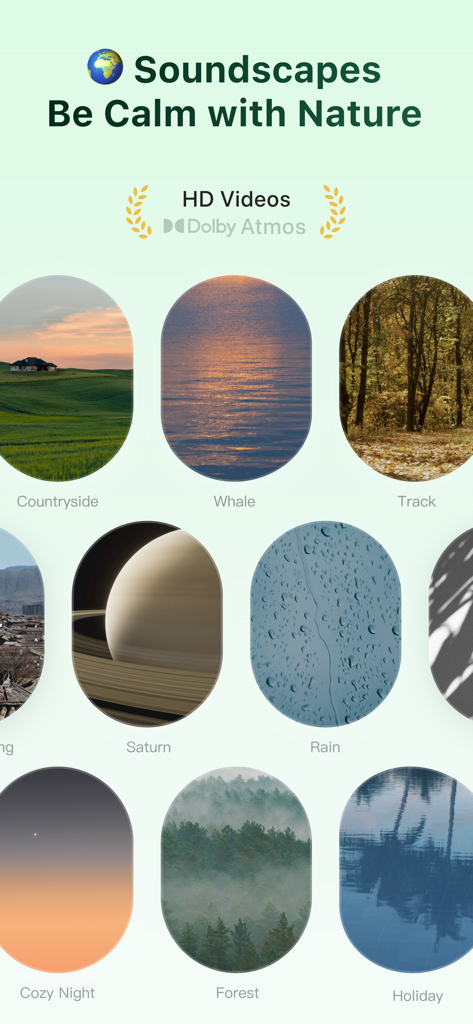 TIDE: Sleep, Focus, Meditation - A collection of nature soundscapes and HD videos in the Tide app including rain forest and cozy night