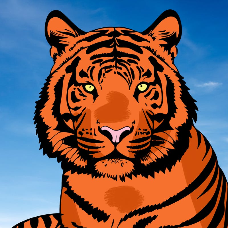 tiger