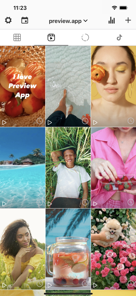 A visual 3x3 grid planner in the Preview app showing aesthetic photos and scheduled video posts for social media.