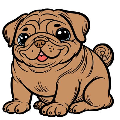 pug dog