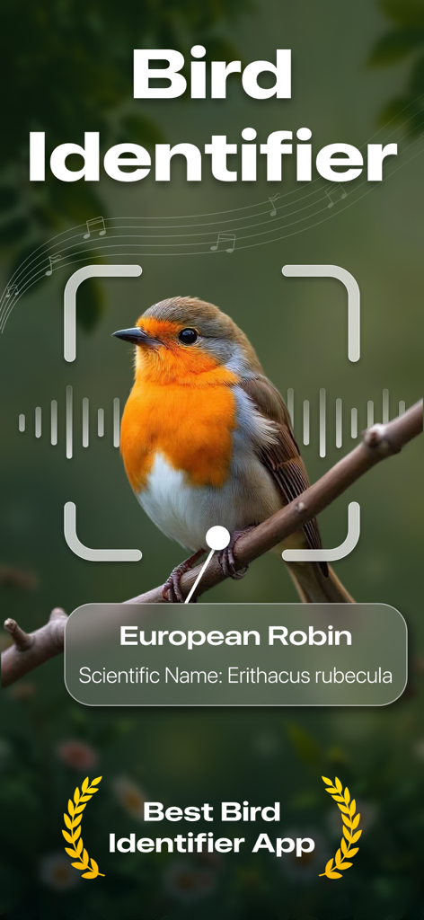 Bird Identifier app interface identifying a European Robin with AI photo and sound recognition features
