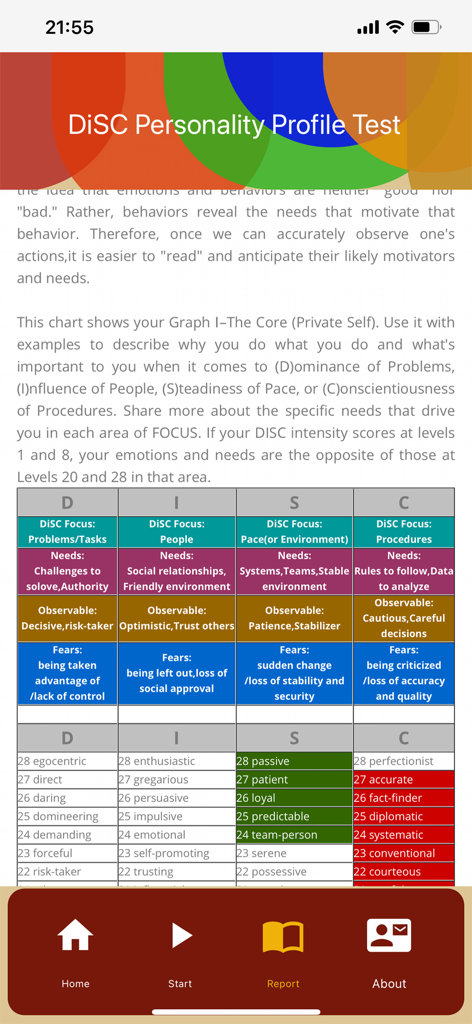 Psychological test-DiSC test - DiSC性格診断テストの詳細レポート。行動特性が表示されています。