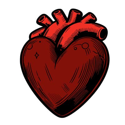 realistic heart
