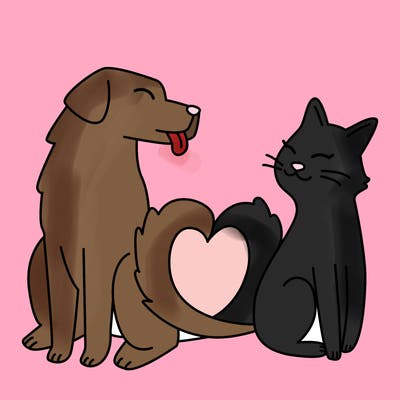 animals_22