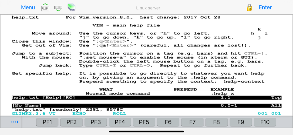 Émulateur de terminal Glink VT affichant une interface d'aide Vim sur un serveur Linux