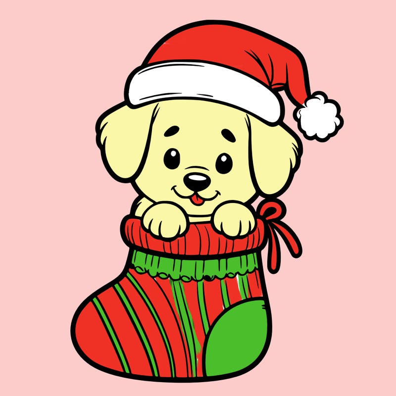 cute puppy wearing santa hat in socking