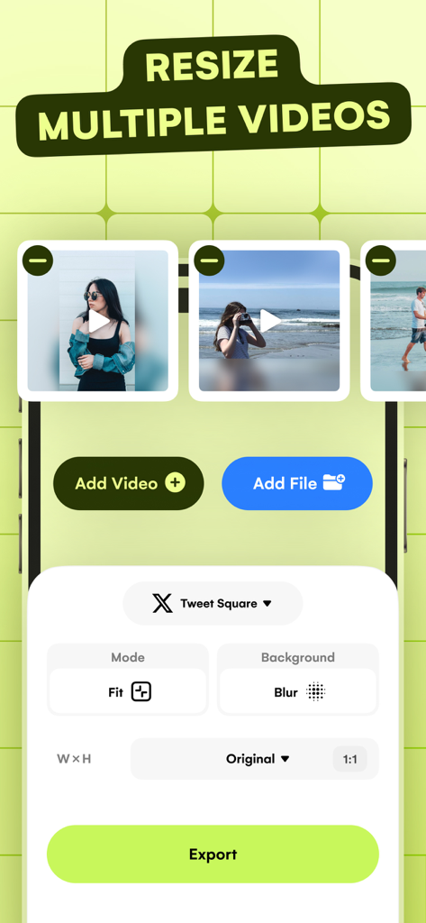 Resize Video - Interface showing batch resize feature for multiple videos with social media presets