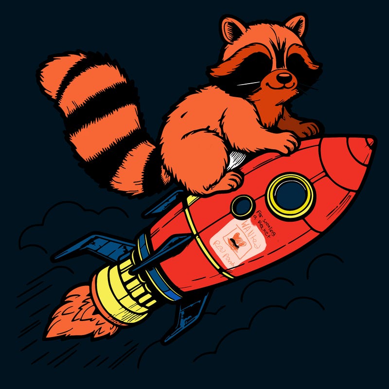 realistic raccoon flying on top rocket ship