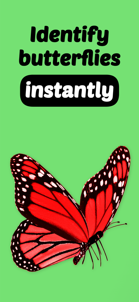 Butterfly Identifier with AI - Una mariposa roja vibrante sobre un fondo verde con el texto que dice Identifica mariposas al instante.