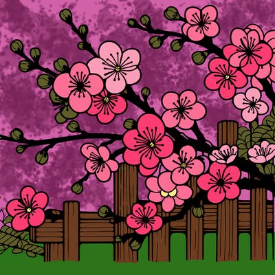 japan cherry blossom