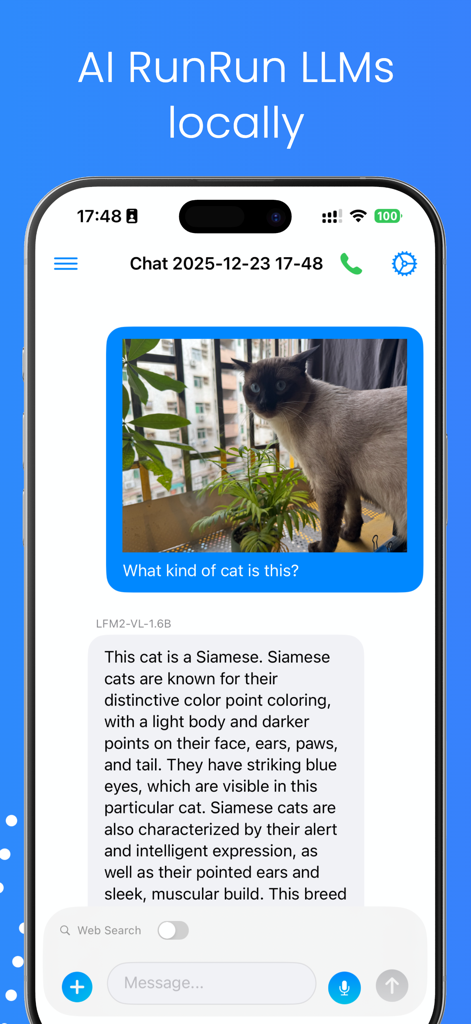 AnyLLM - AnyLLM app interface showing a local AI model identifying a Siamese cat from an uploaded image