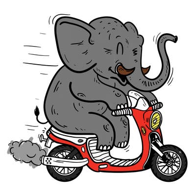 animals_21
