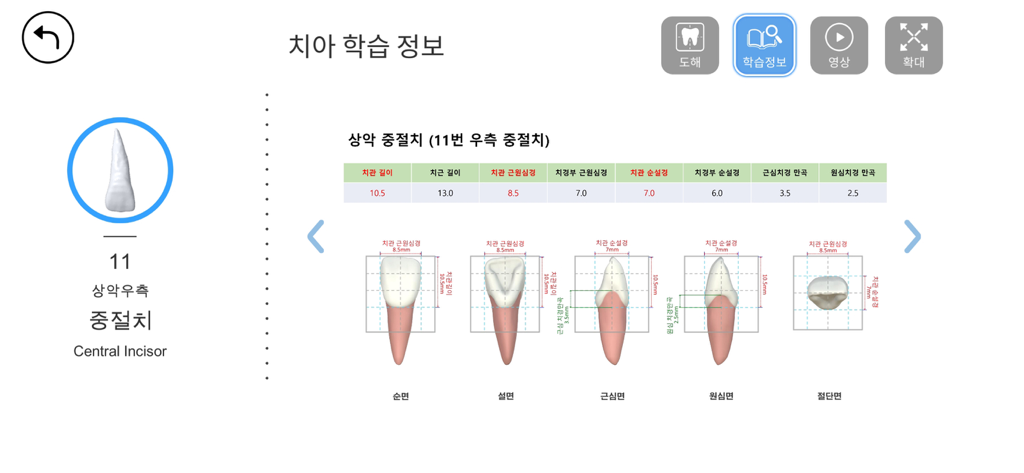 AR-D Morphology - A detailed dental morphology guide showing technical measurements and anatomical diagrams of a central incisor
