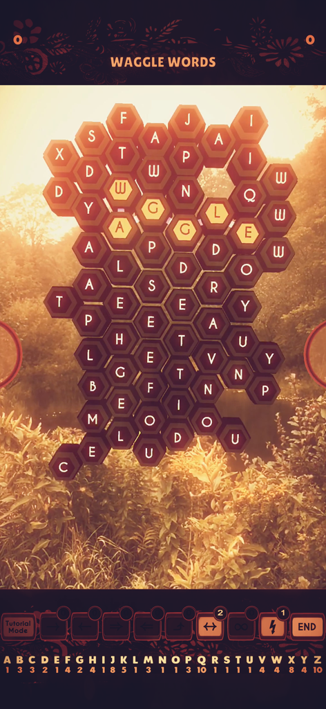 Screenshot del gioco Waggle Words che mostra un alveare di lettere esagonali sovrapposto a una scena naturale all'ora d'oro in realtà aumentata.
