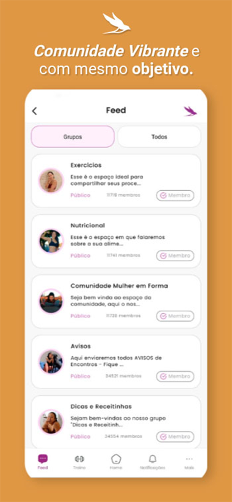 Mulher Em Forma - A list of fitness and wellness community groups in the Mulher Em Forma app.