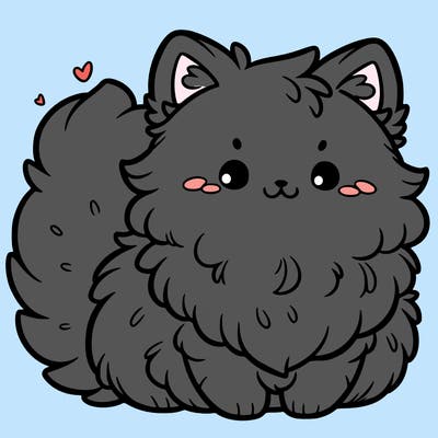 cute fluffy cat