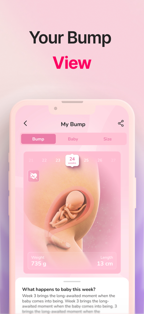 Period Tracker－Pregnancy・Femin - Pantalla de la aplicación móvil de Femin que muestra una visualización 2D de la barriga de embarazada a las 24 semanas de gestación con estadísticas de peso y longitud fetal.
