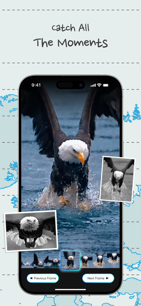 Video Frame Grabber: Clipgrab - A mobile app interface showing a bald eagle video with frame by frame selection to capture a high quality photo