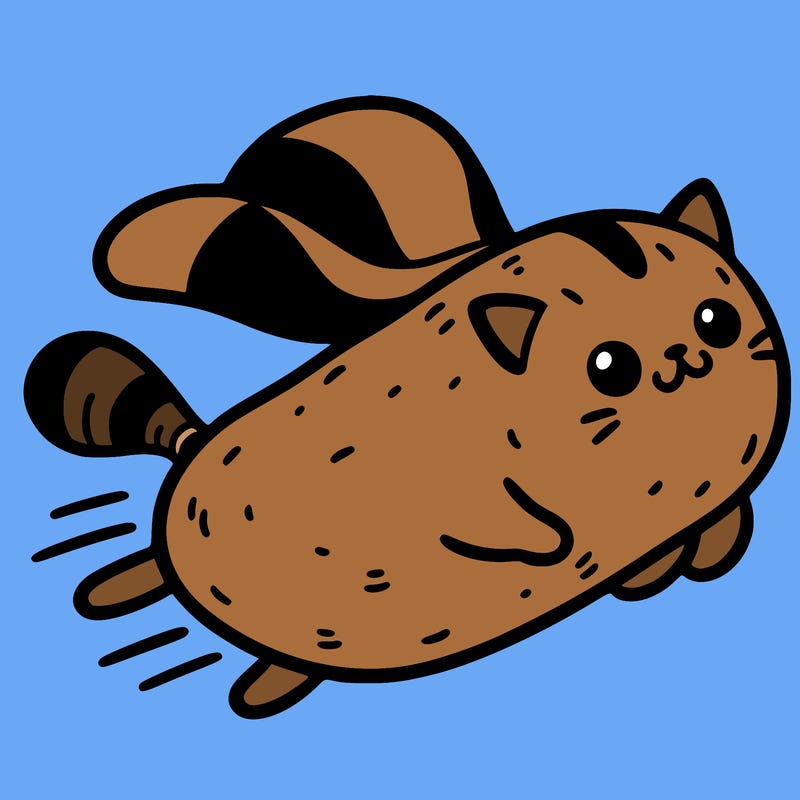 potato cat flying through the air