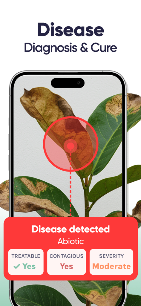 Smartphone screen using Planty app to diagnose a plant disease from a leaf scan