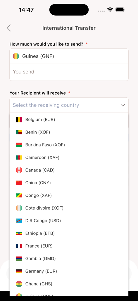 BnB POS - Interfaz de la aplicación BnB POS que muestra una lista de países de destino con banderas y códigos de moneda para transferencias de dinero internacionales