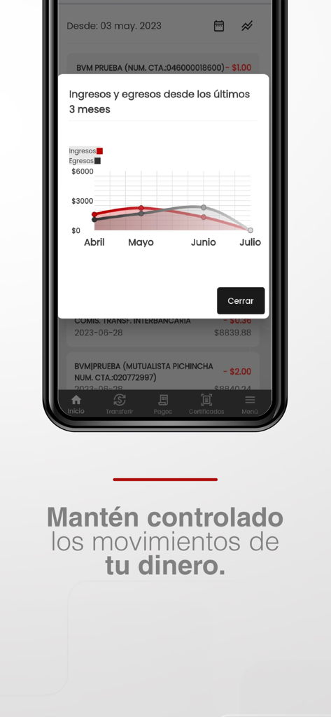 DaquiApp - DaquiApp mobile screen displaying a monthly income and expenses chart