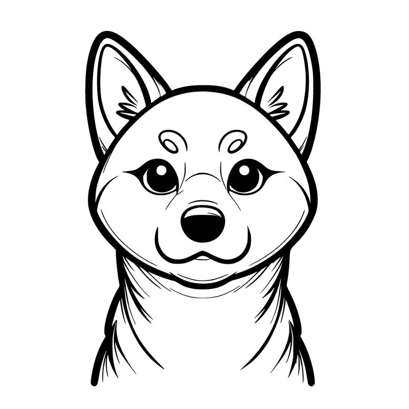 a dog looks like a fox upp ears also shiba a littil bit medium size realistic