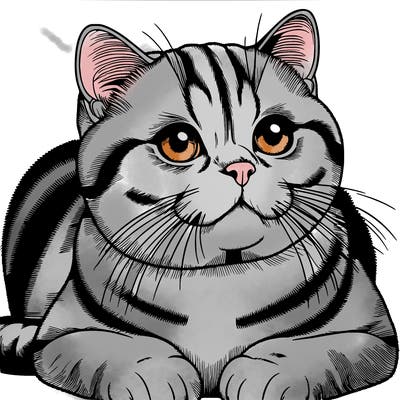 realistic british shorthair cat