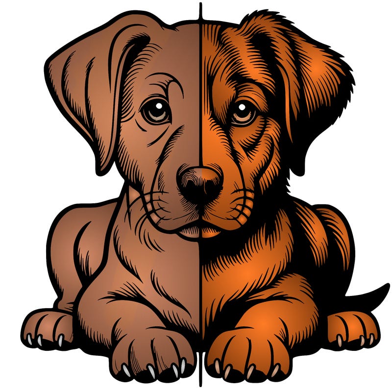 realistic dog split picture