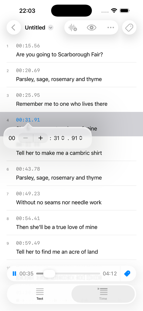 Interface of the LRC Maker app showing synchronized lyrics and timestamp editing for a song
