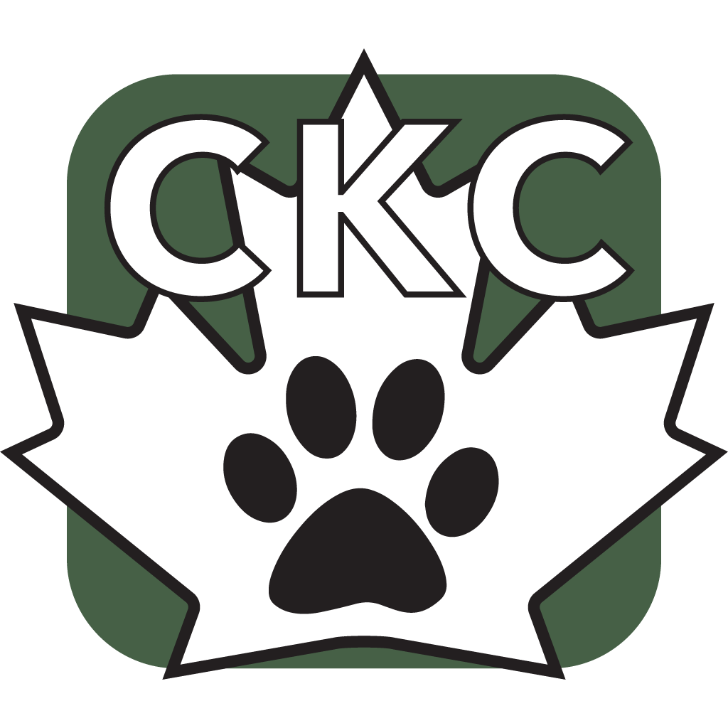 MyRallyCoachCKC | Your Guide from the Crate to the Gate