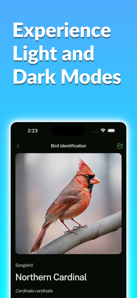 Bird Identifier app interface in dark mode displaying a Northern Cardinal identification